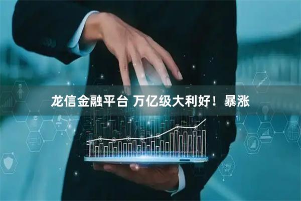 龙信金融平台 万亿级大利好！暴涨